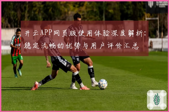 开云APP网页版使用体验深度解析：稳定流畅的优势与用户评价汇总