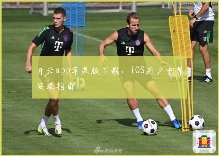 开云app苹果版下载,iOS用户专属安装指南