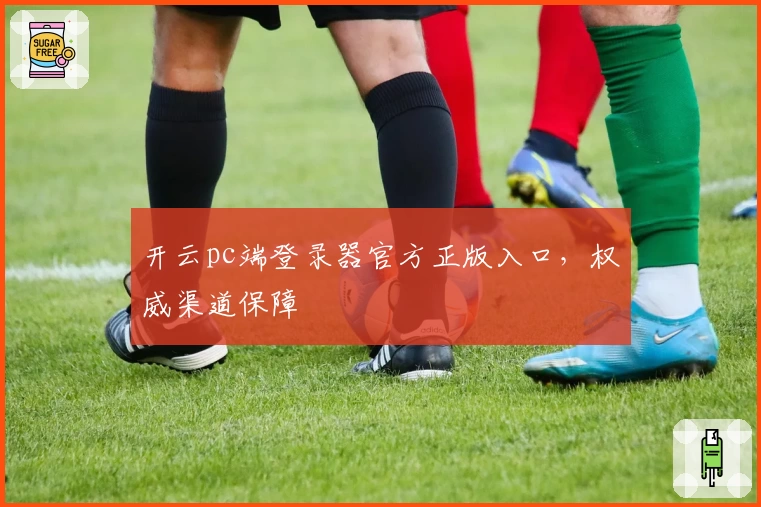 开云pc端登录器官方正版入口，权威渠道保障