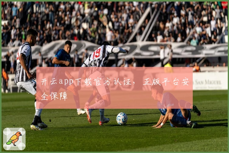 开云app下载官方认证，正版平台安全保障