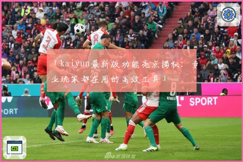 「kaiyun最新版功能亮点揭秘：专业玩家都在用的高效工具」