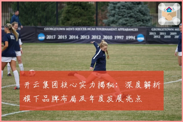 开云集团核心实力揭秘：深度解析旗下品牌布局及年度发展亮点